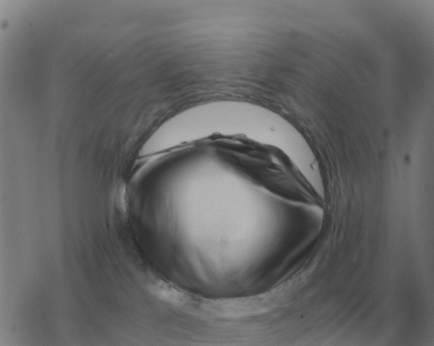 X0000077390041200611101805