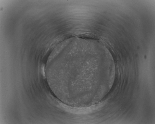 X0000077390042200611101805