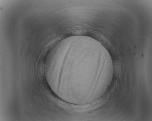 X0000077390043200611101805