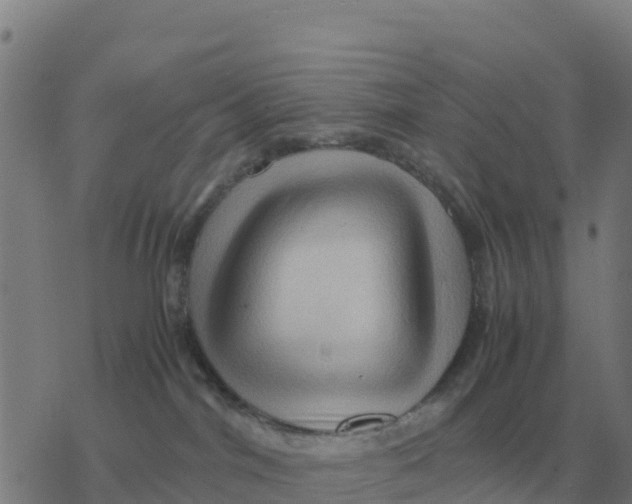 X0000077390044200611101805