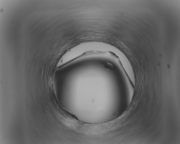 X0000077390045200611101805