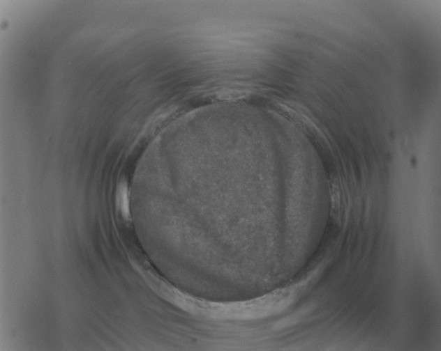 X0000077390046200611101805