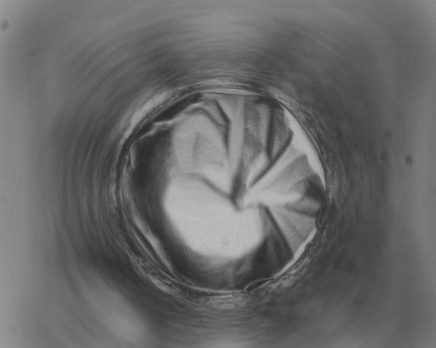 X0000077390050200611101804