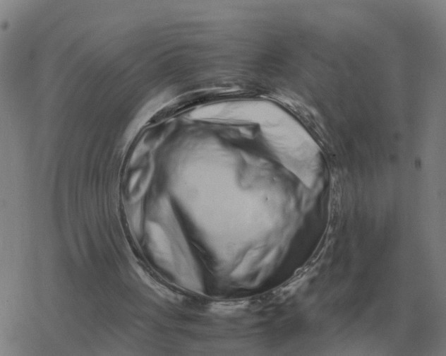 X0000077390051200611101804