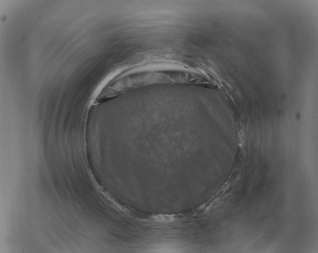 X0000077390052200611101804