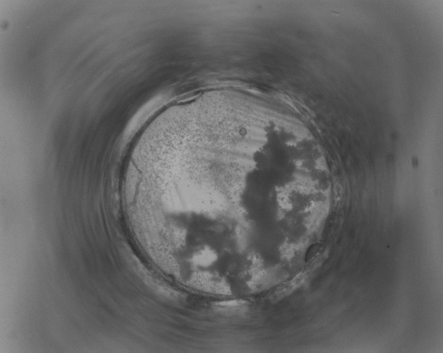 X0000077390053200611101804