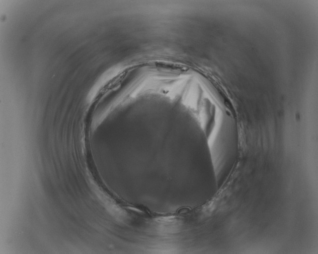 X0000077390054200611101804