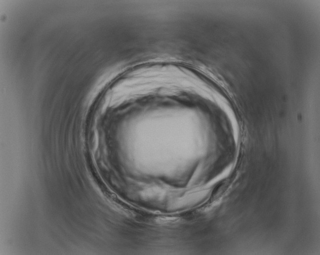 X0000077390055200611101805