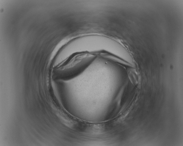 X0000077390056200611101805