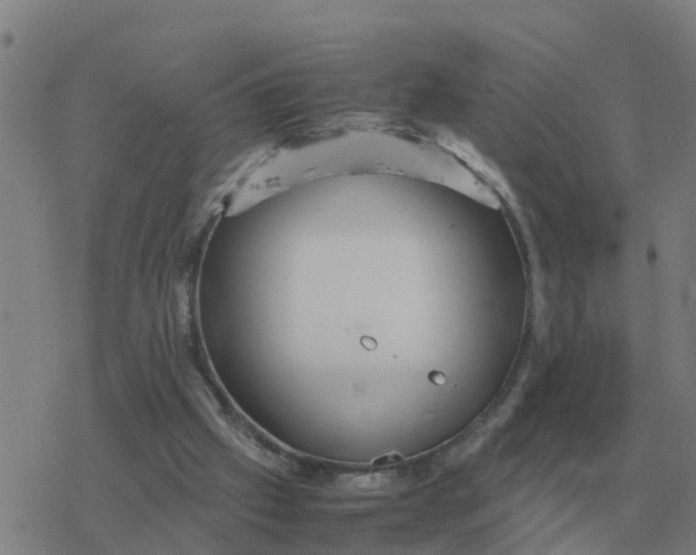 X0000077390057200611101805