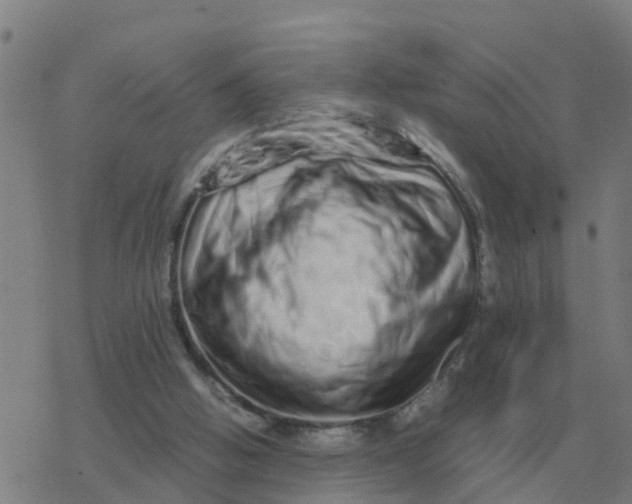 X0000077390058200611101805