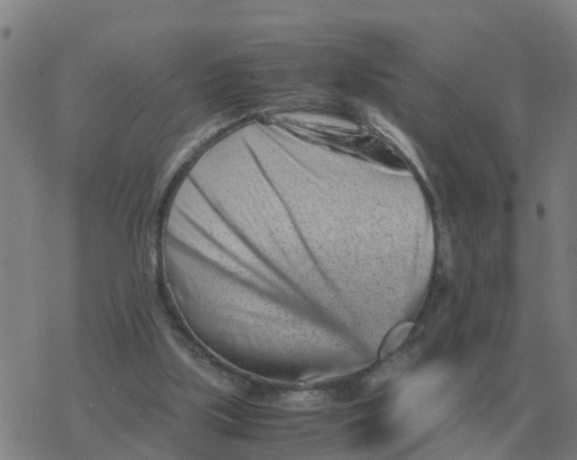 X0000077390059200611101805