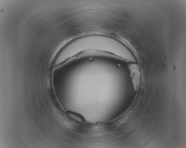 X0000077390060200611101805