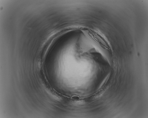 X0000077390063200611101805