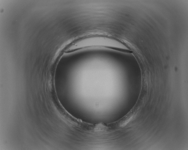 X0000077390064200611101805