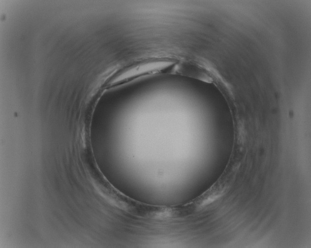 X0000077390068200611101805