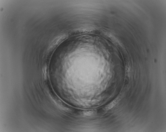 X0000077390070200611101805