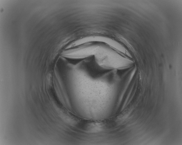 X0000077390071200611101805