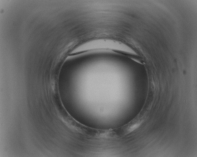 X0000077390072200611101805