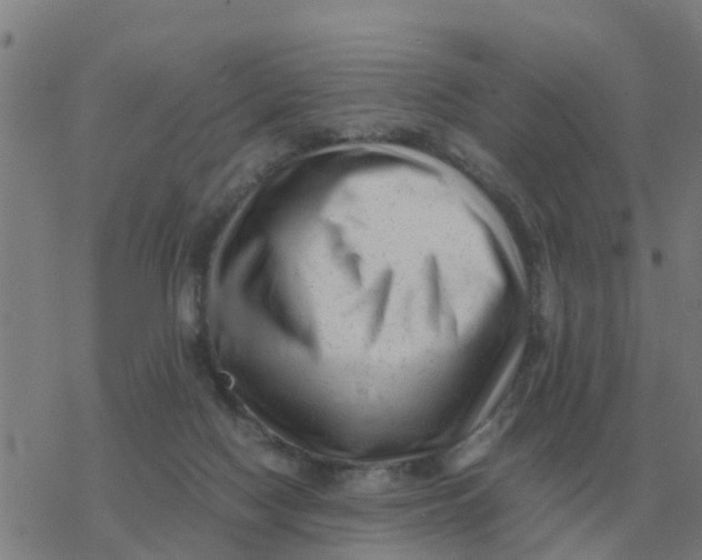 X0000077390074200611101805