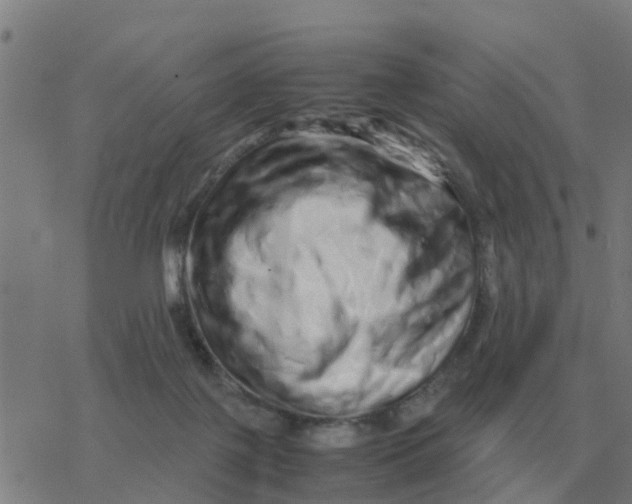 X0000077390075200611101805