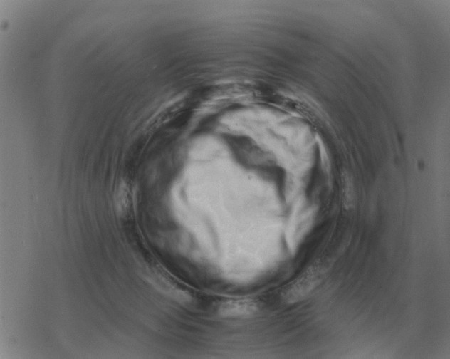 X0000077390077200611101805