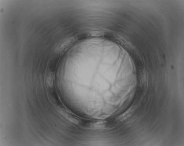 X0000077390078200611101805