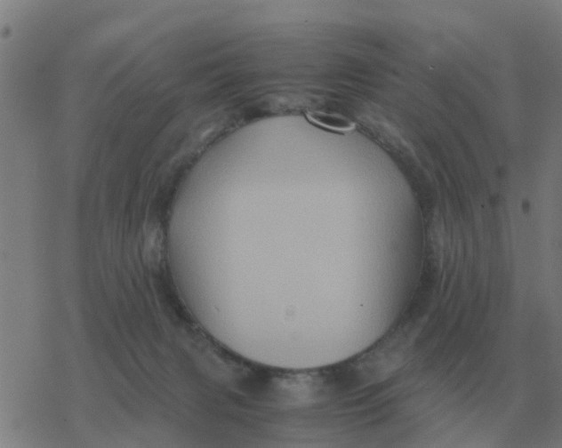 X0000077390079200611101805