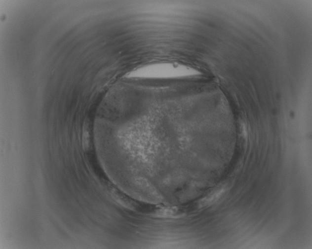 X0000077390080200611101805