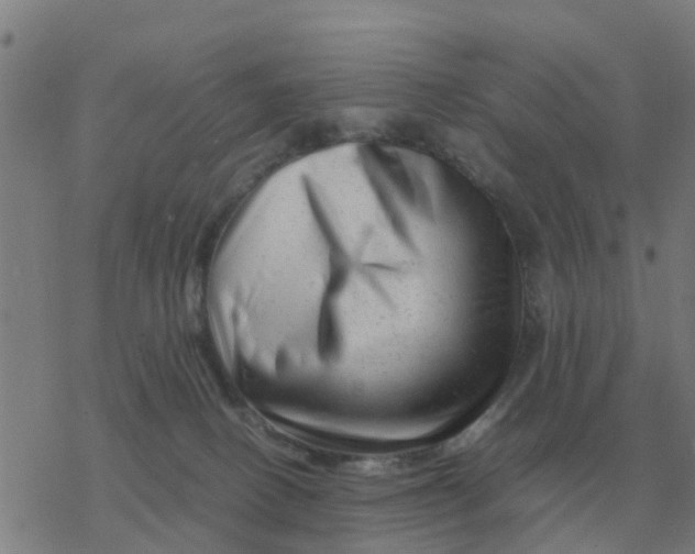 X0000077390082200611101805