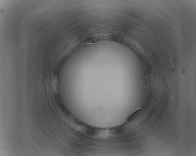 X0000077390083200611101805