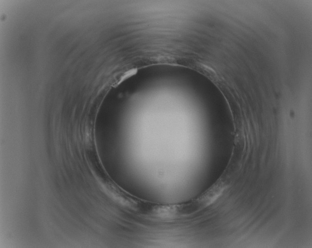 X0000077390084200611101805