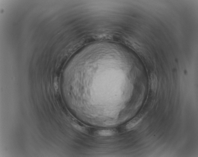 X0000077390085200611101805