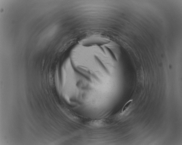 X0000077390086200611101805