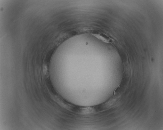 X0000077390087200611101805