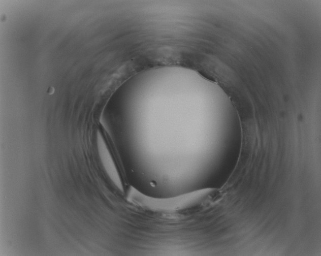 X0000077390088200611101805