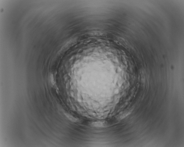 X0000077390089200611101805