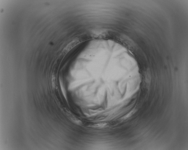 X0000077390090200611101805