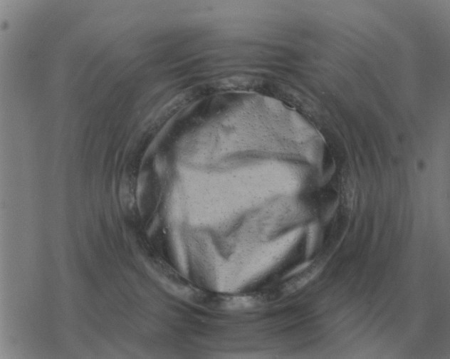 X0000077390091200611101805