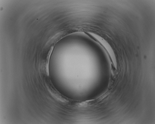 X0000077390092200611101805