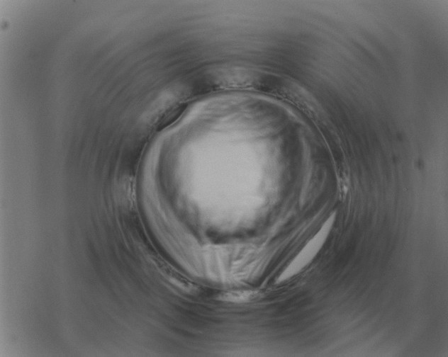 X0000077390093200611101805