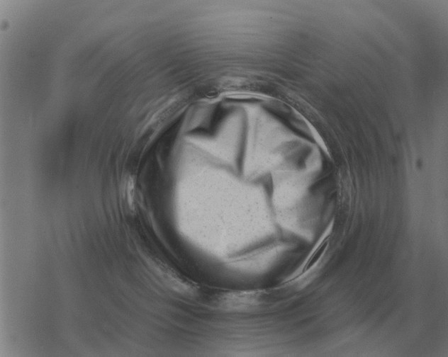 X0000077390094200611101805