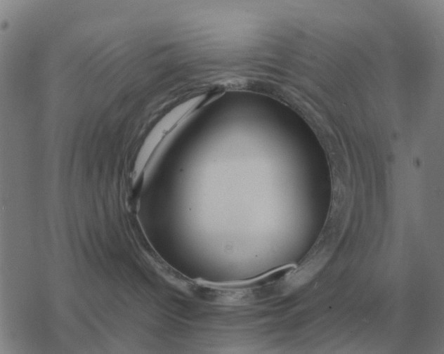 X0000077390096200611101805