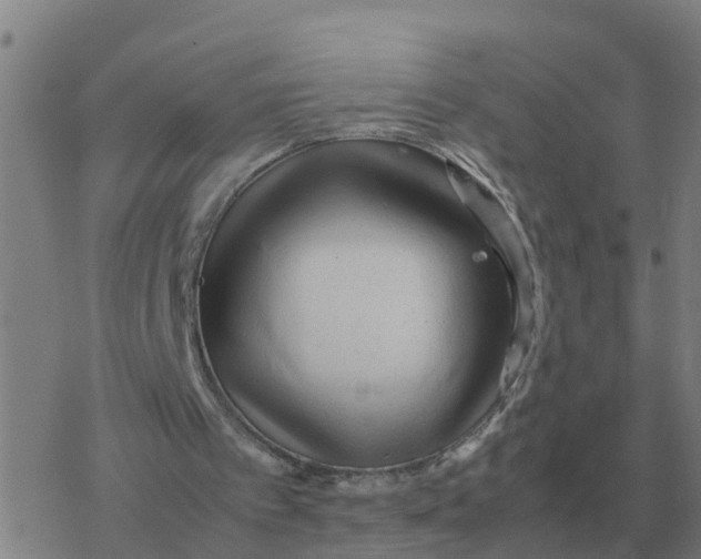 X0000077390097200611101804