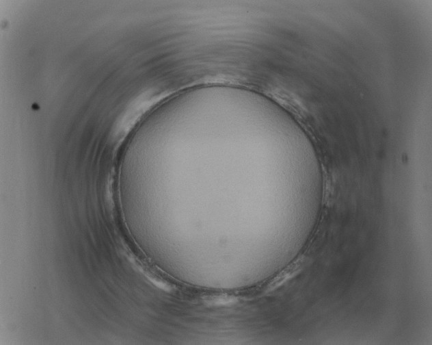 X0000077390098200611101804