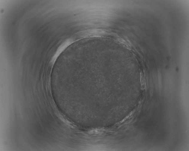 X0000077390099200611101804