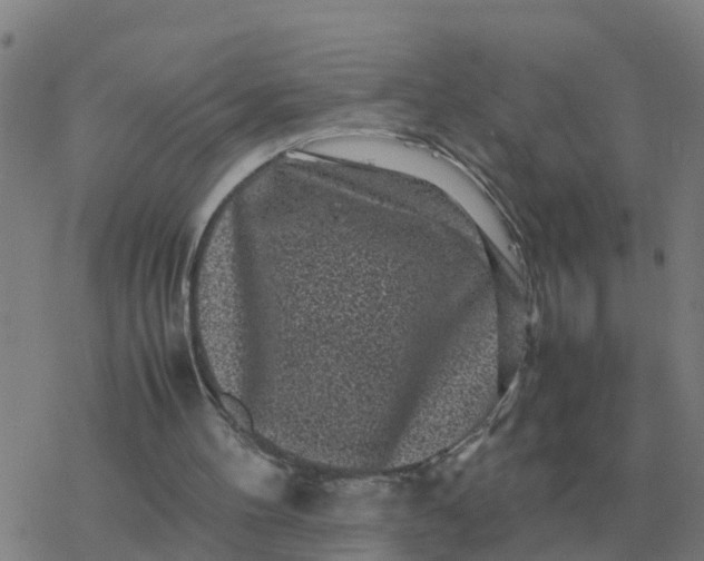 X0000077390100200611101804