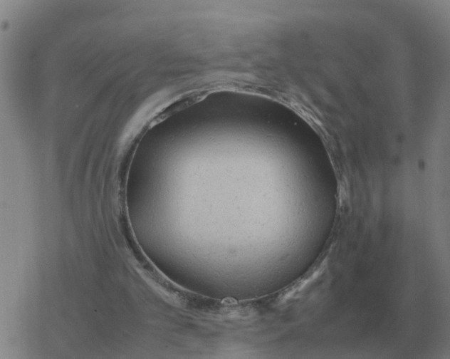 X0000077390101200611101804