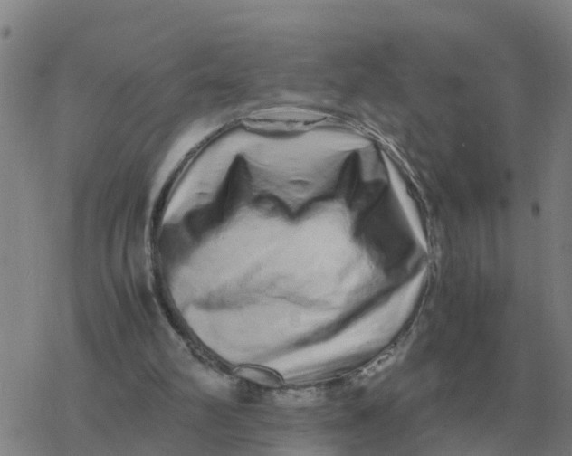 X0000077390102200611101804