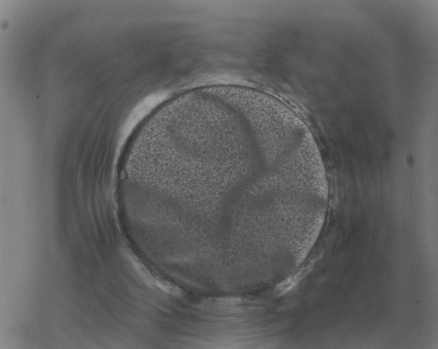 X0000077390104200611101804